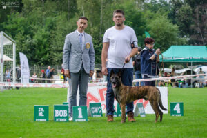 _DSC3460 (1)