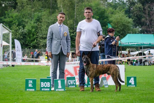 _DSC3460 (1)